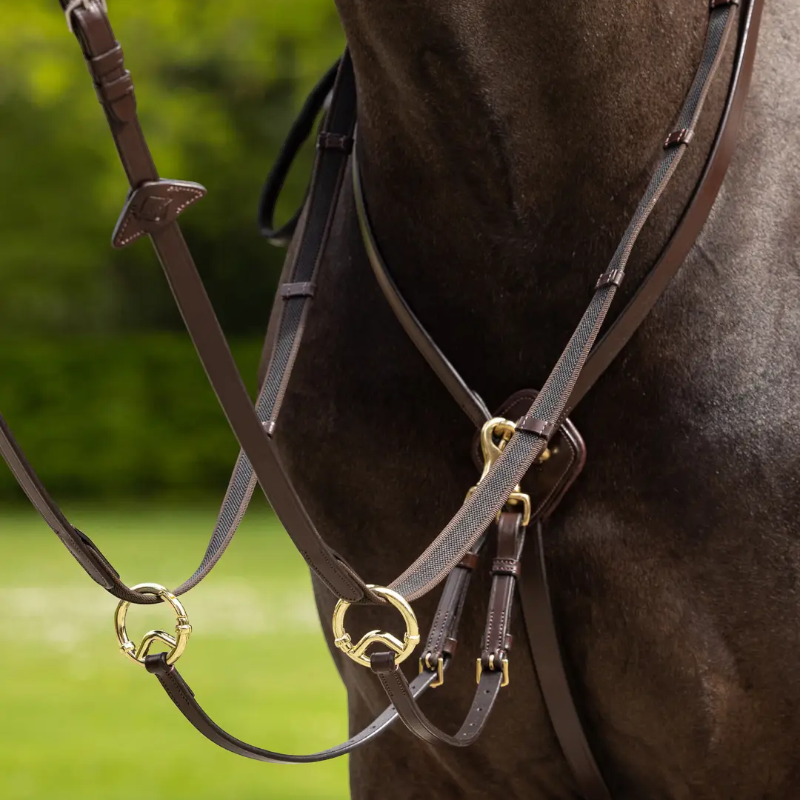 Lemieux - Martingale à anneaux Kudos havane/ laiton
