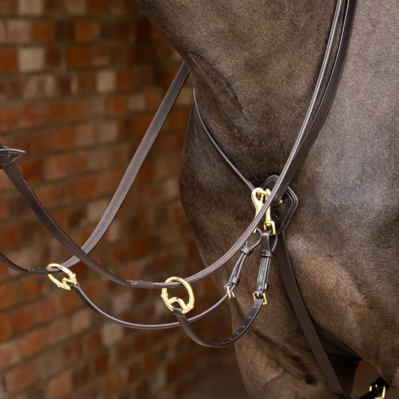 Lemieux - Martingale met Kudos ringen bruin/ messing 