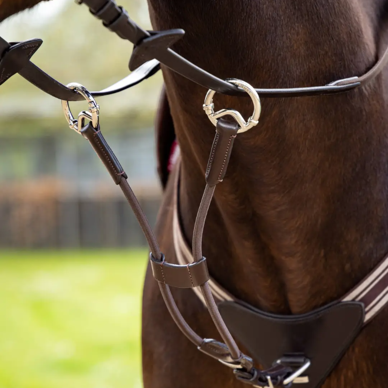 Lemieux - Martingale élastique marron/ argent