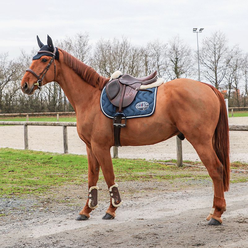 Equiline - Bonnet pour chevaux carré Dell | - Ohlala