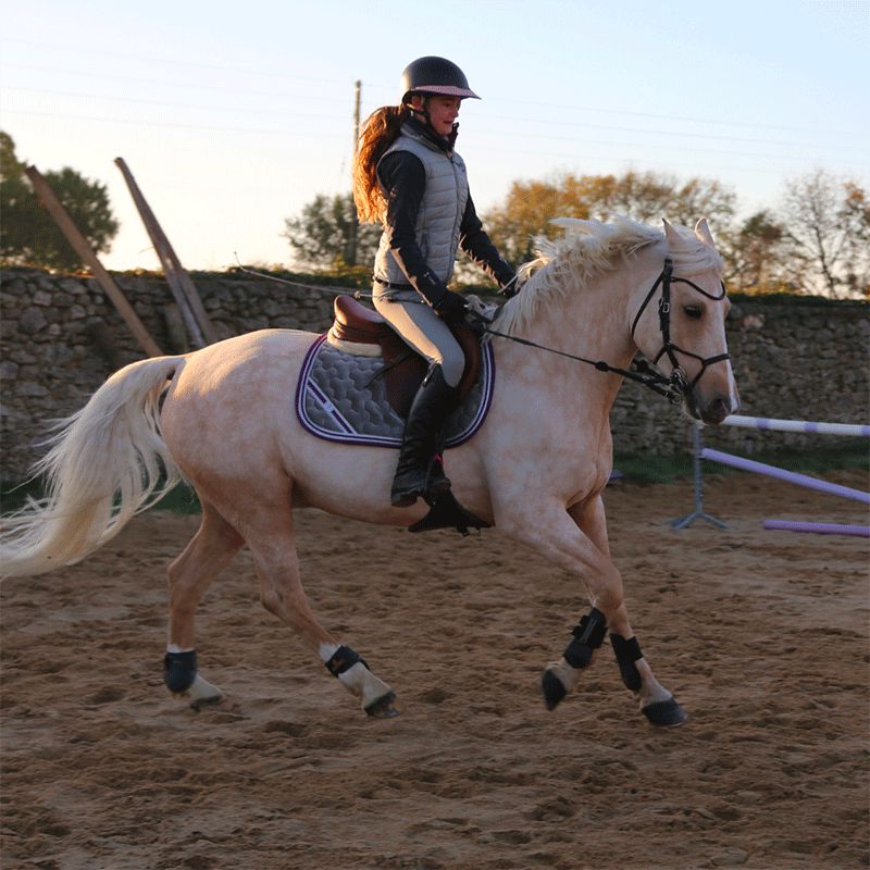 Les poneys de Zoé - Tapis de selle #Ponyboom gris/ violet | - Ohlala