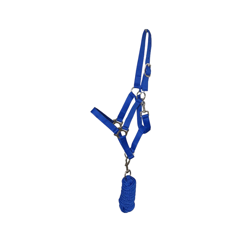 Riding World - Royal Blue Club Halter and Lead