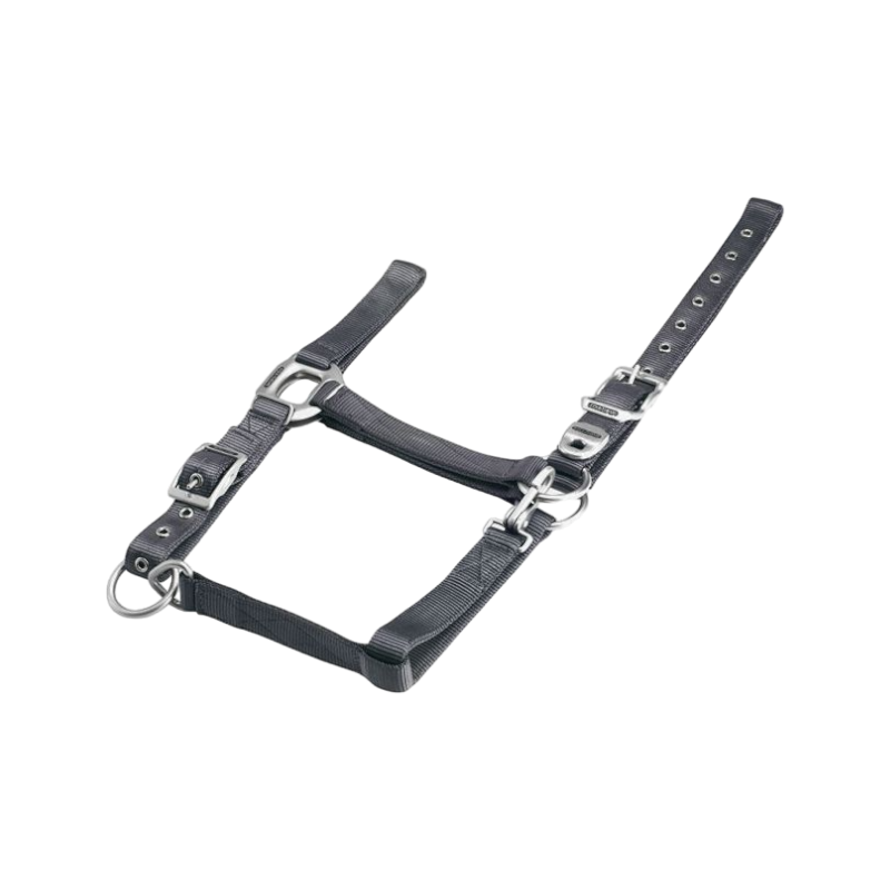 Equithème - Gray nylon halter