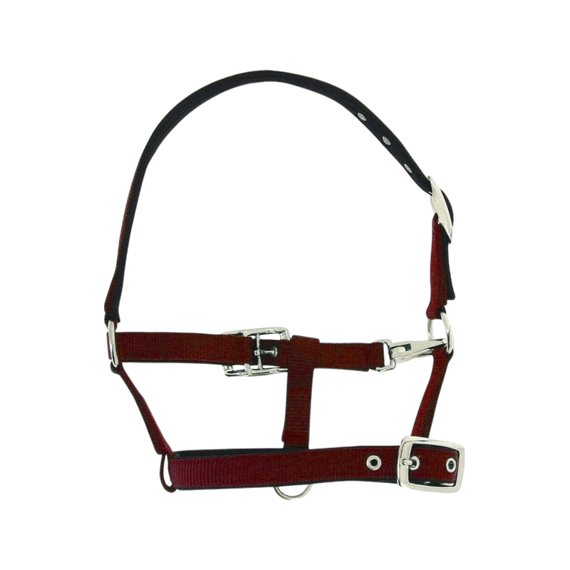 Norton - Burgundy breathable foal halter