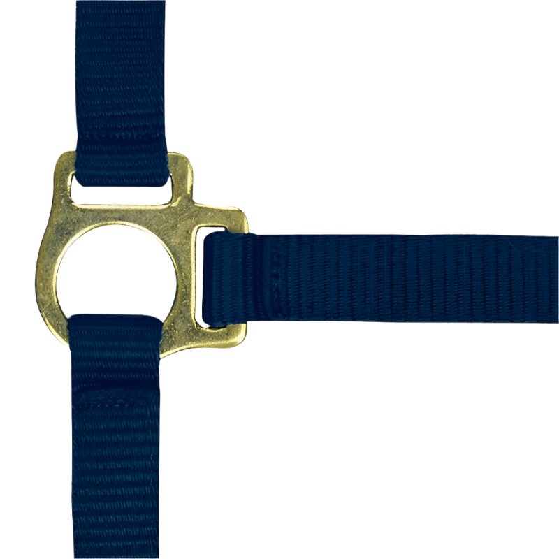 Norton - Foal halter + marine lead