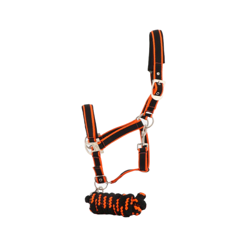 Equithème - Halter + lead satin black/orange