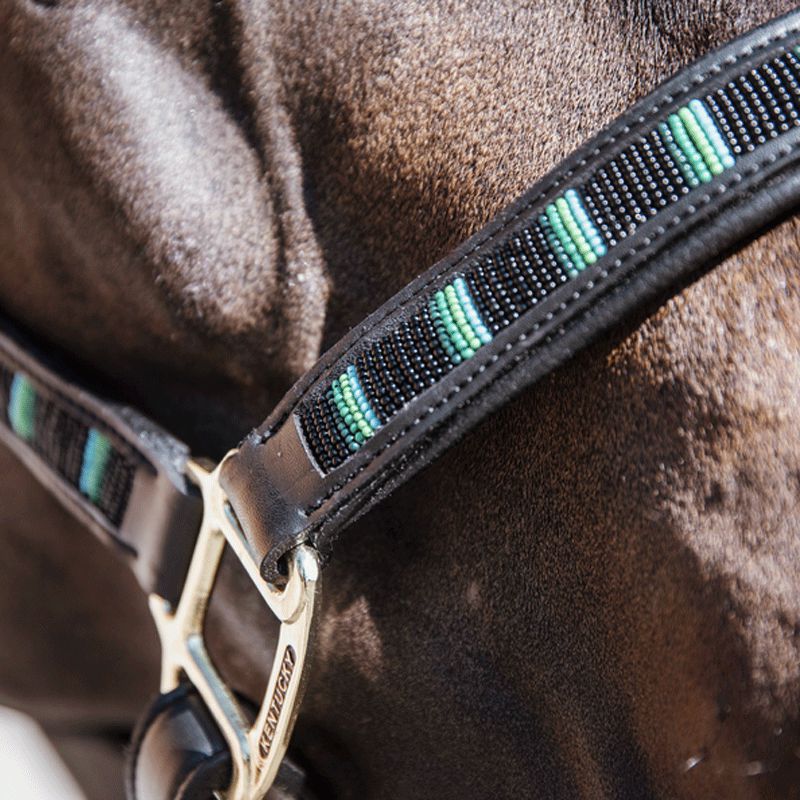 Kentucky Horsewear - Licol en cuir Pearls noir | - Ohlala