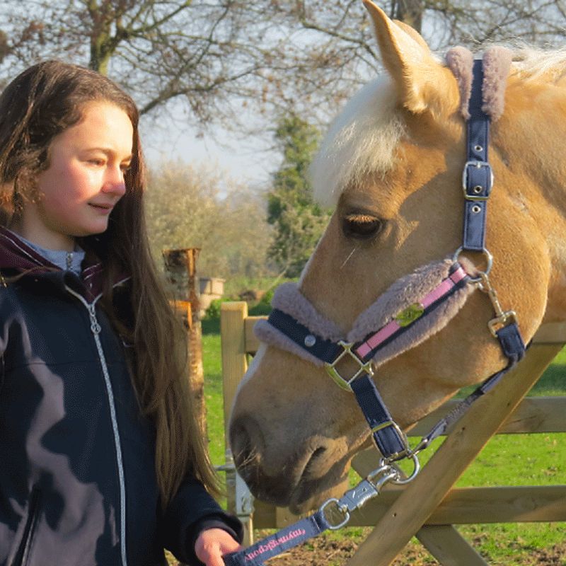 Les poneys de Zoé - Licol et longe #Mymagicponey marine/ rose | - Ohlala