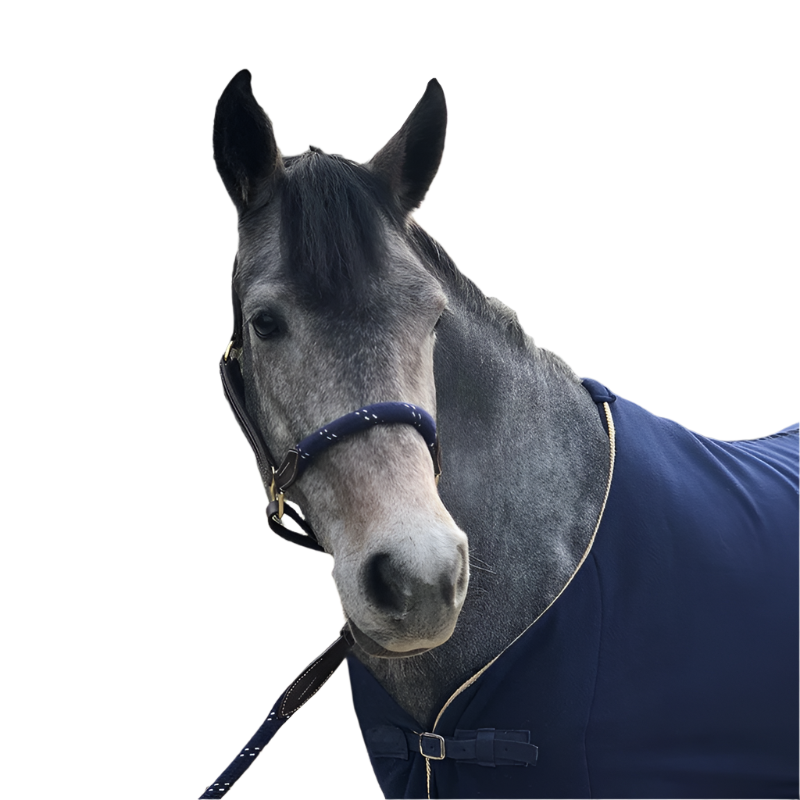 Canter - Hardhole kastanje touw/ marine