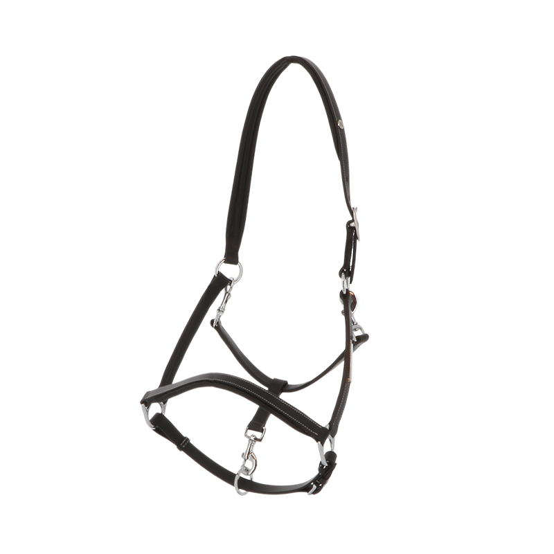 Norton - Black leather grooming halter