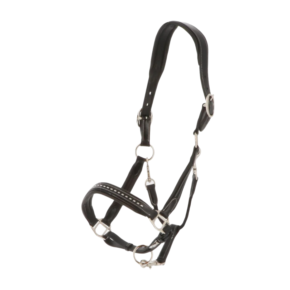 Pénélope Store - Black Point Sellier leather horse halter