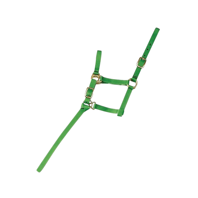 Norton - Foal halter + light green lead