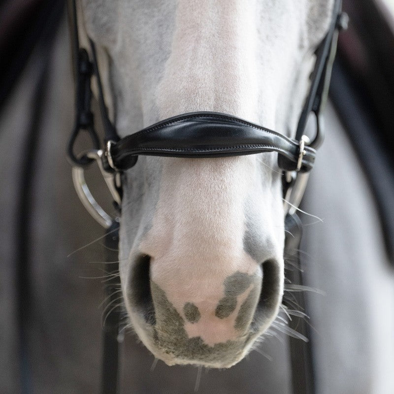 Jump'In - Muserolle allemande Evolution noir