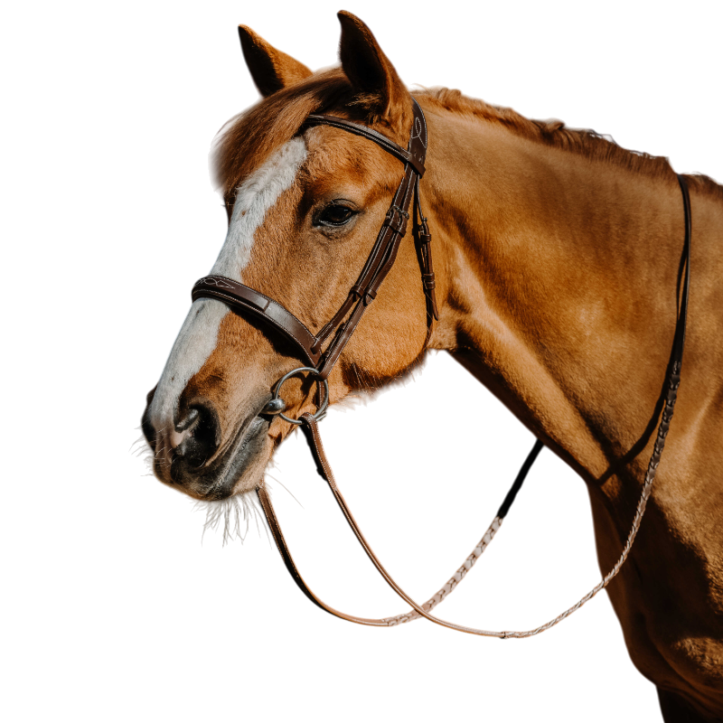 Norton - Bridon Hunter Fancy havane 