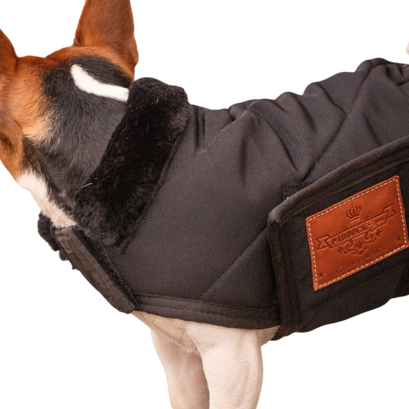 Paddock Sports - Hundedecke Diagonal 
