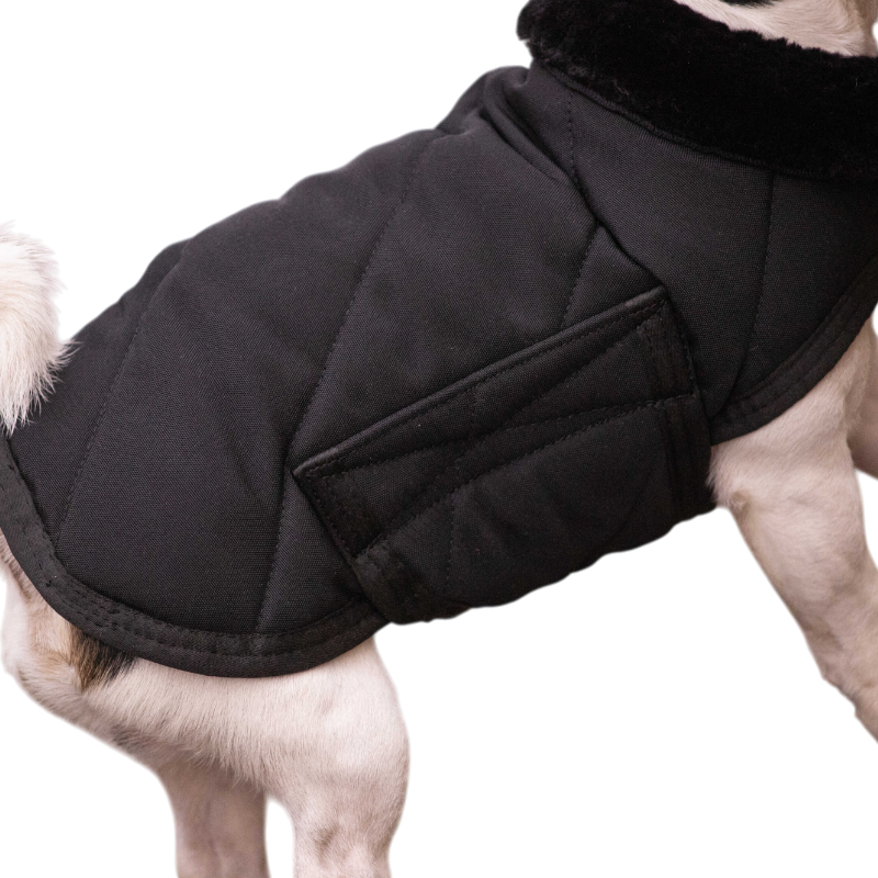 Paddock Sports - Hundedecke Diagonal 