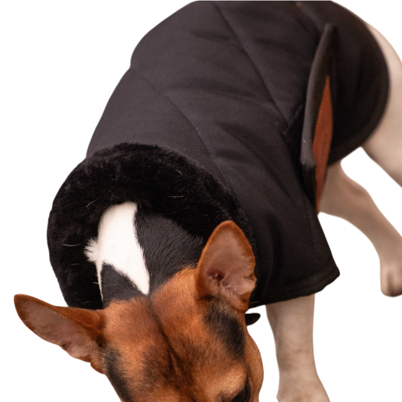 Paddock Sports - Hundedecke Diagonal 