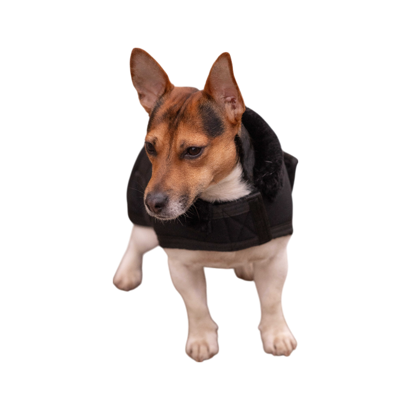 Paddock Sports - Hundedecke Diagonal 