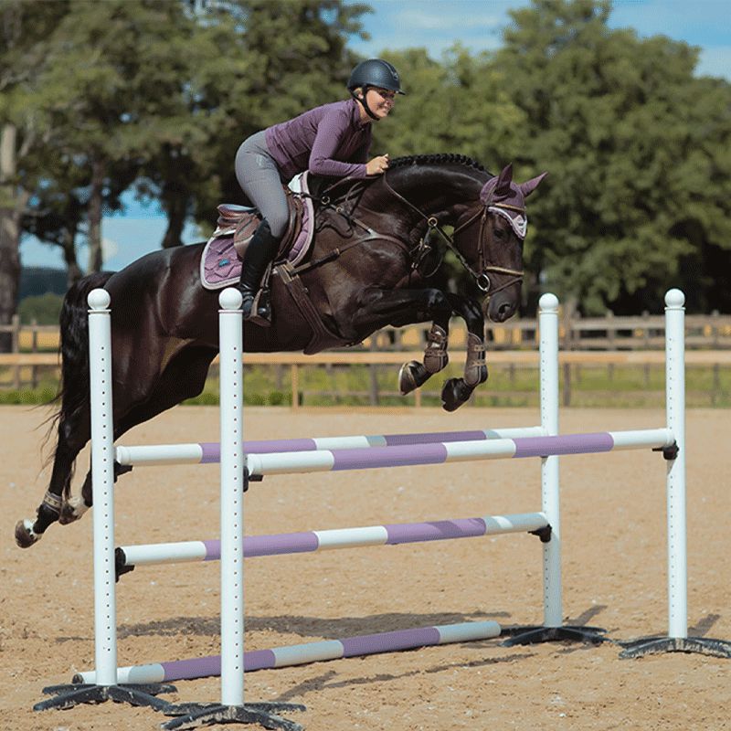 Equestrian Stockholm - Pantalon d'équitation Elite gris | - Ohlala