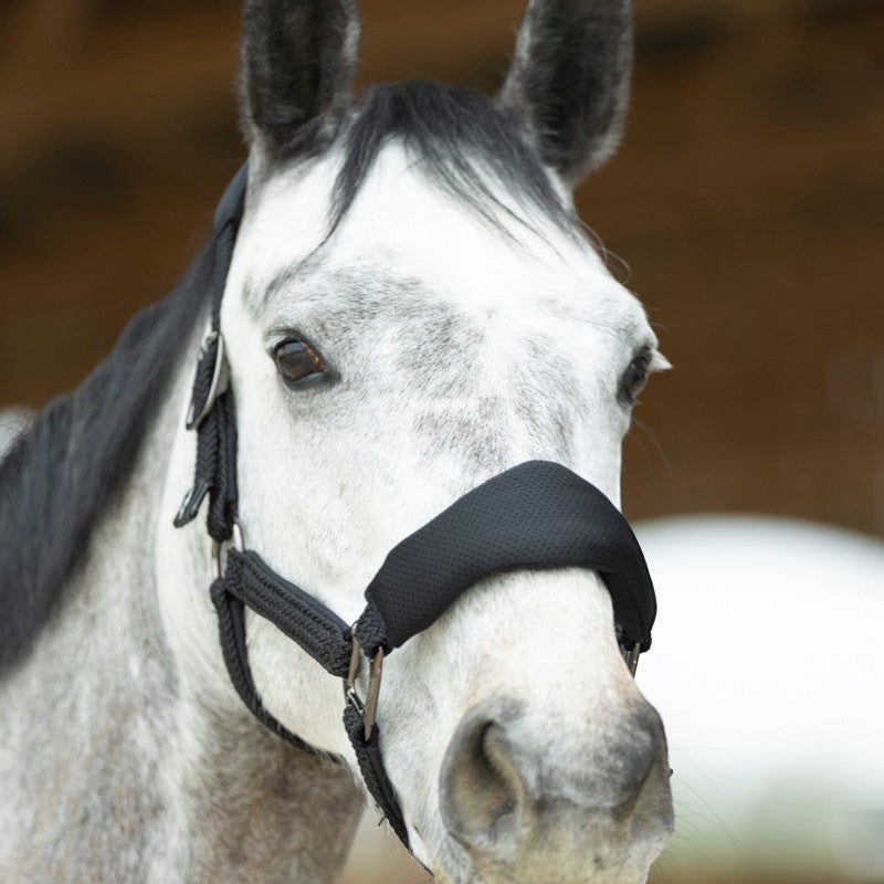 Pro Confort - Ergonomic halter and Dorai long line in black mesh 