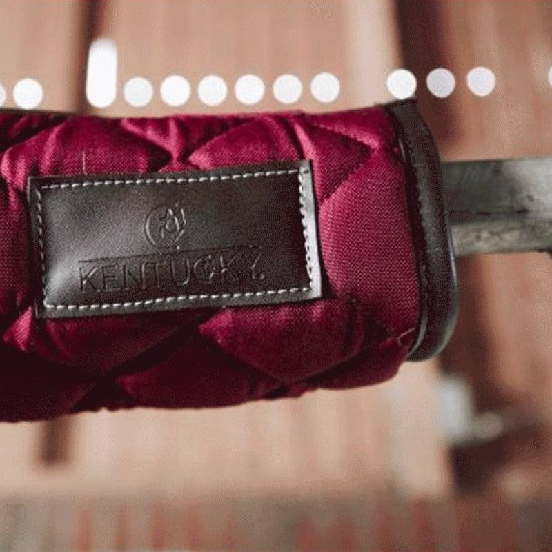 Kentucky Horsewear - Burgundy Head Protection