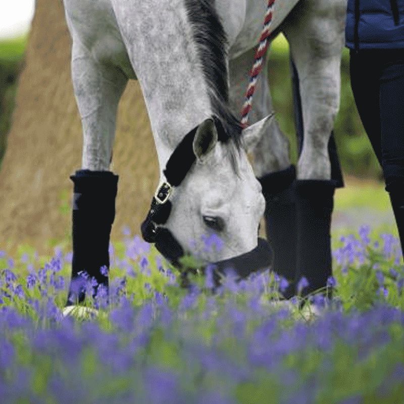 Kentucky Horsewear - Bandes de repos marine (set de 4) | - Ohlala