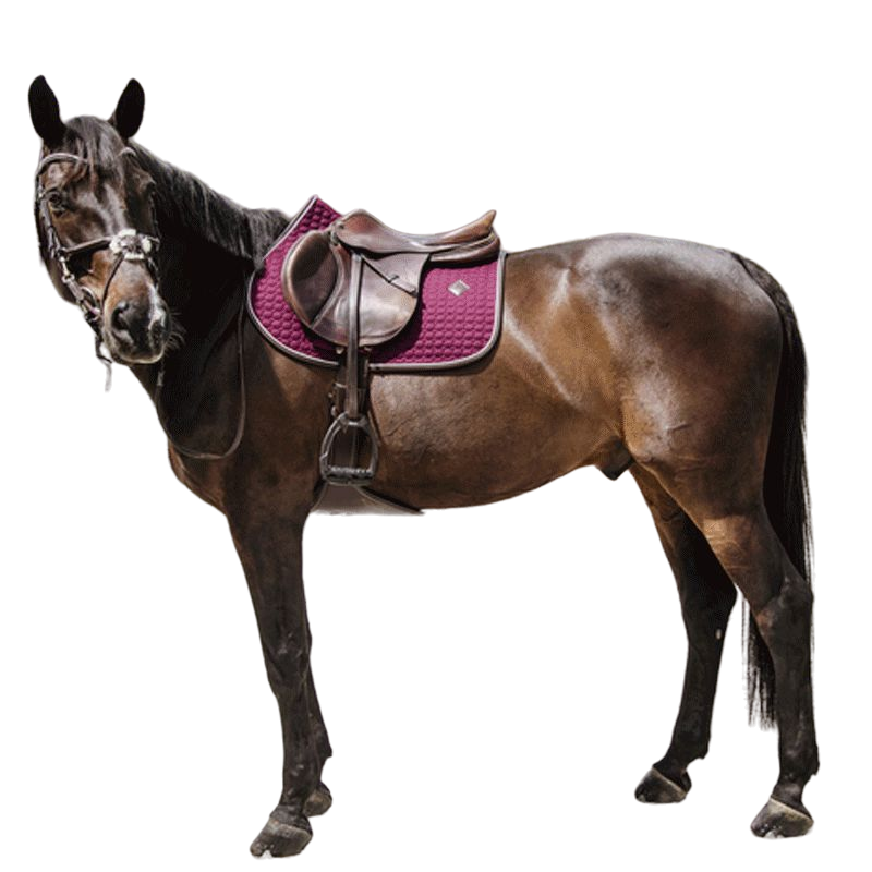 Kentucky Horsewear - Tapis de selle classic leather bordeaux | - Ohlala