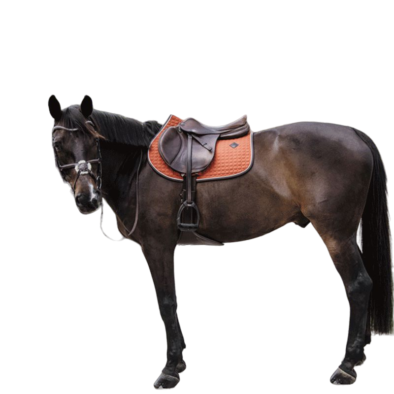 Kentucky Horsewear - Tapis de selle classic leather orange | - Ohlala