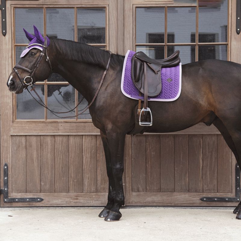 Kentucky Horsewear - Tapis de dressage velvet contrast violet royal | - Ohlala