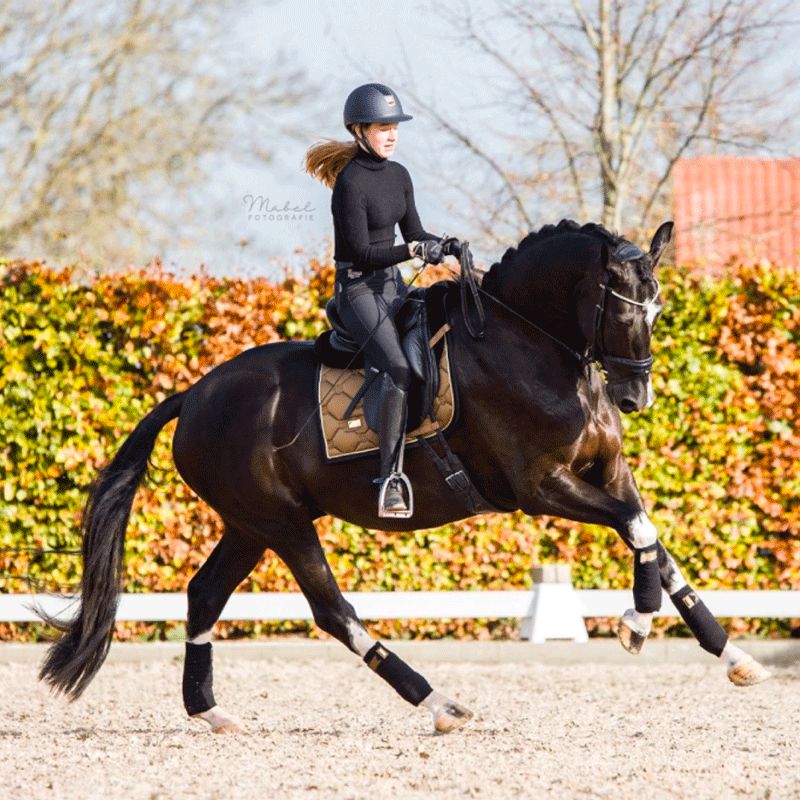 Equestrian Stockholm - Tapis de dressage Golden Brass | - Ohlala