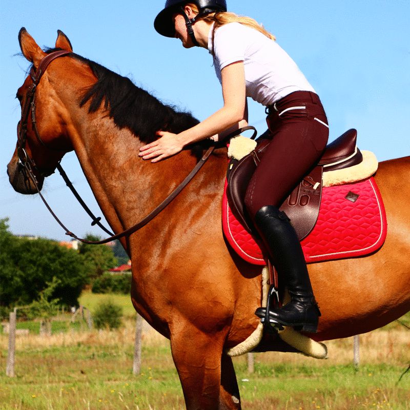 Pénélope Store - Pantalon d'équitation Fun push up Marron | - Ohlala