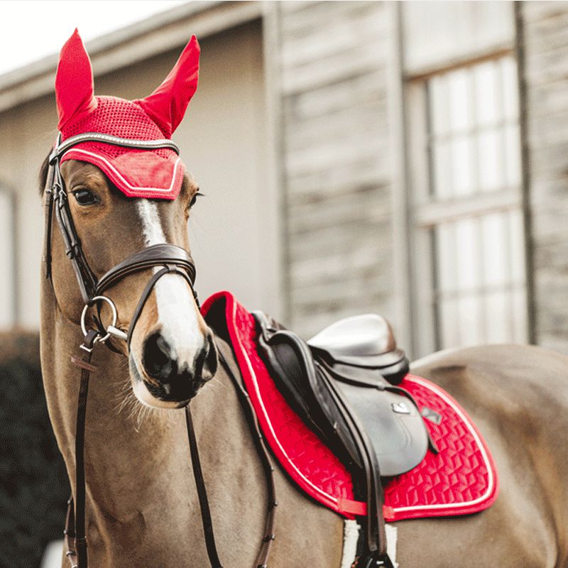 Kentucky Horsewear - Tapis de selle Velvet jumping Rouge | - Ohlala