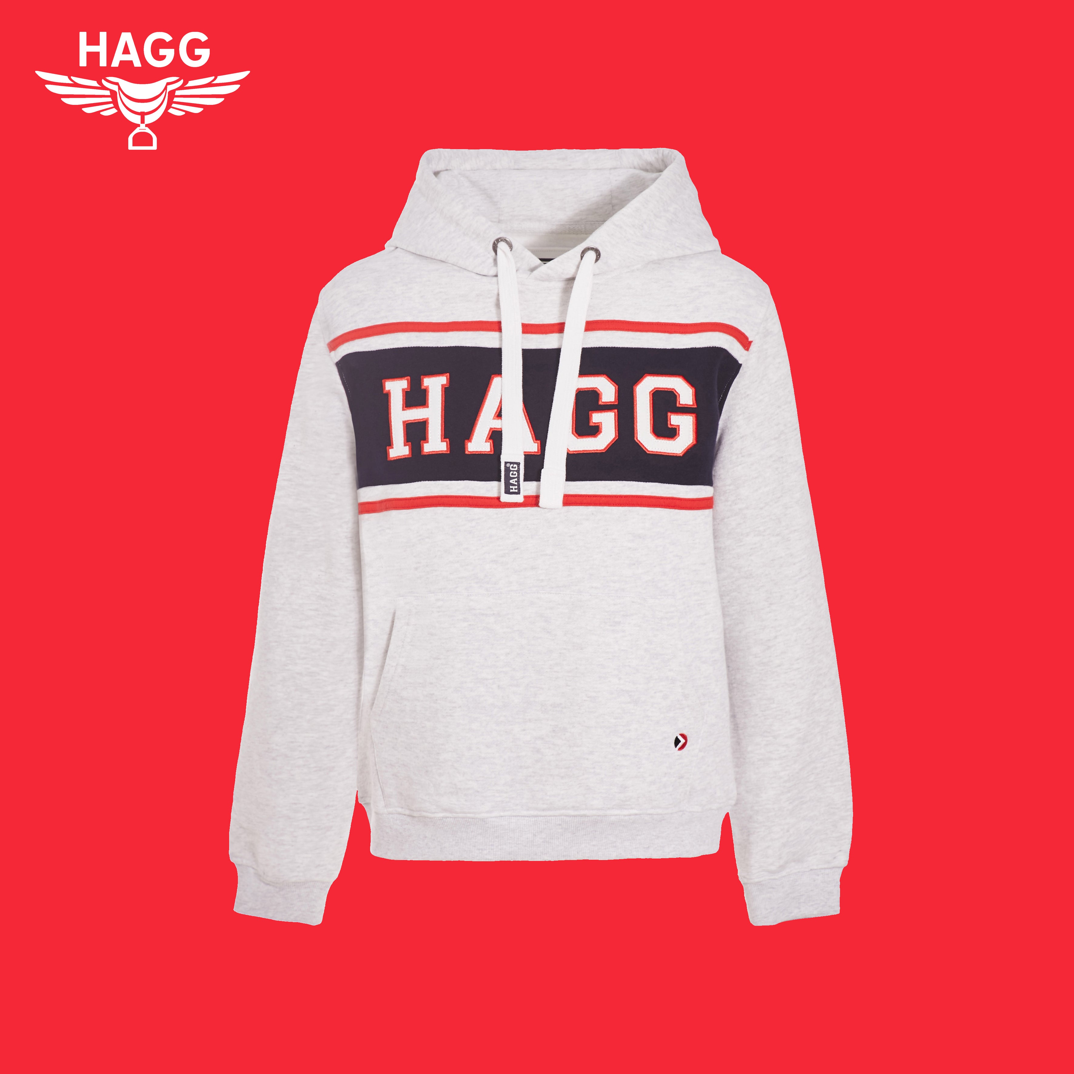 Hagg - Sweat hoodie à capuche gris | - Ohlala