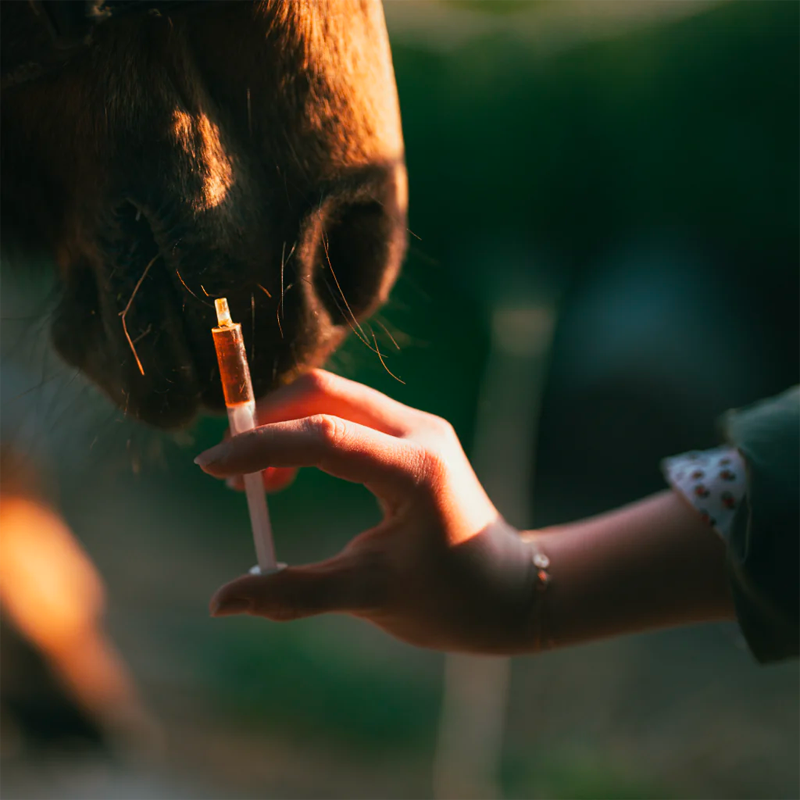 Cura Naturale - Complément alimentaire pour chevaux drainant pour le foie | - Ohlala