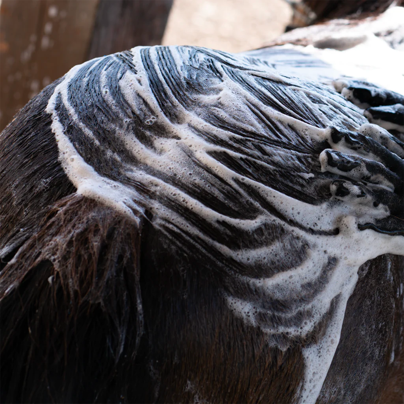 Cura Naturale - Shampoing pour chevaux anti-démangeaisons | - Ohlala