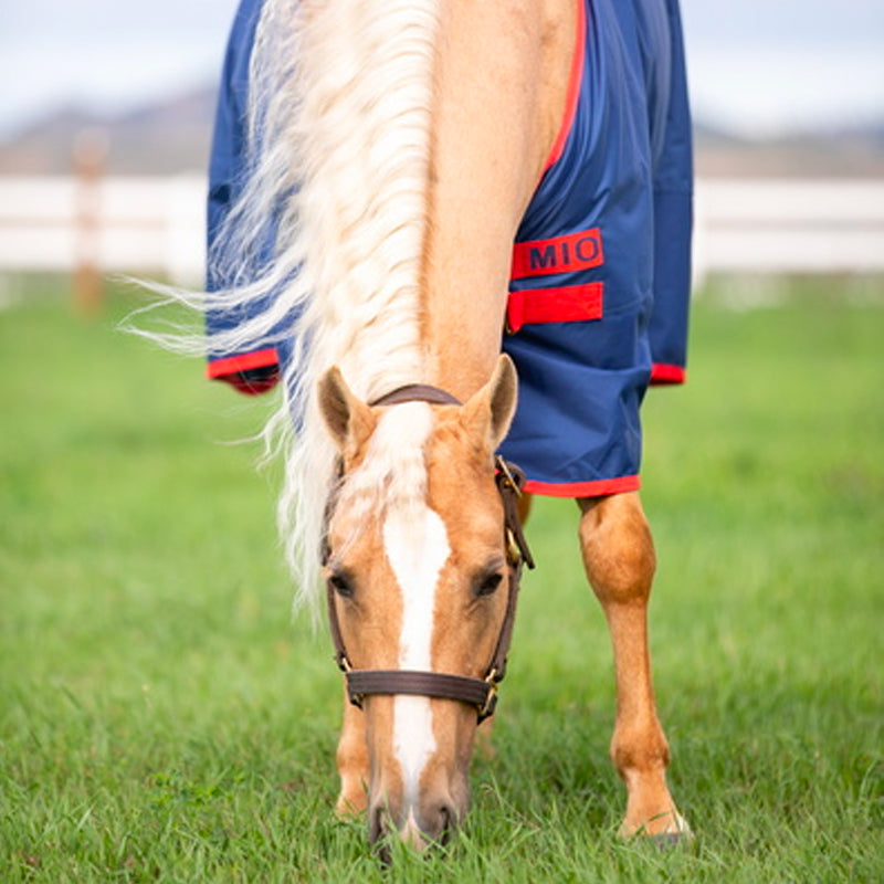 Horseware - Couverture d'extérieur imperméable Mio T/O Lite bleu/ rouge 0g | - Ohlala