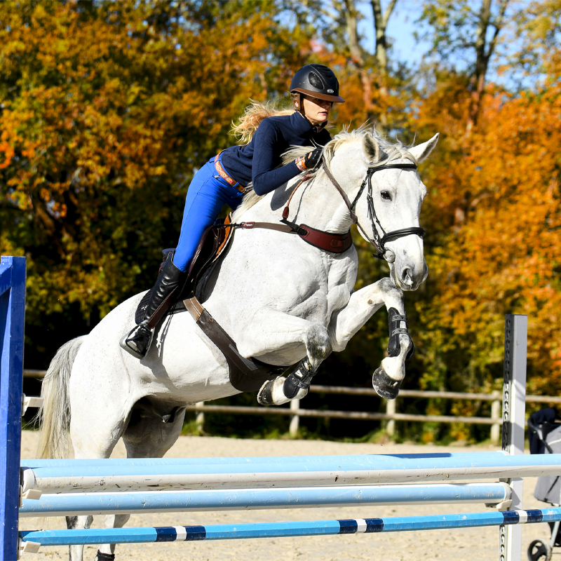 Freejump - Collier d'aide marron | - Ohlala