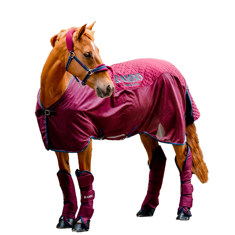 Horseware - Chemise de transport Rambo Travel Series bordeaux/ beige/ marine | - Ohlala