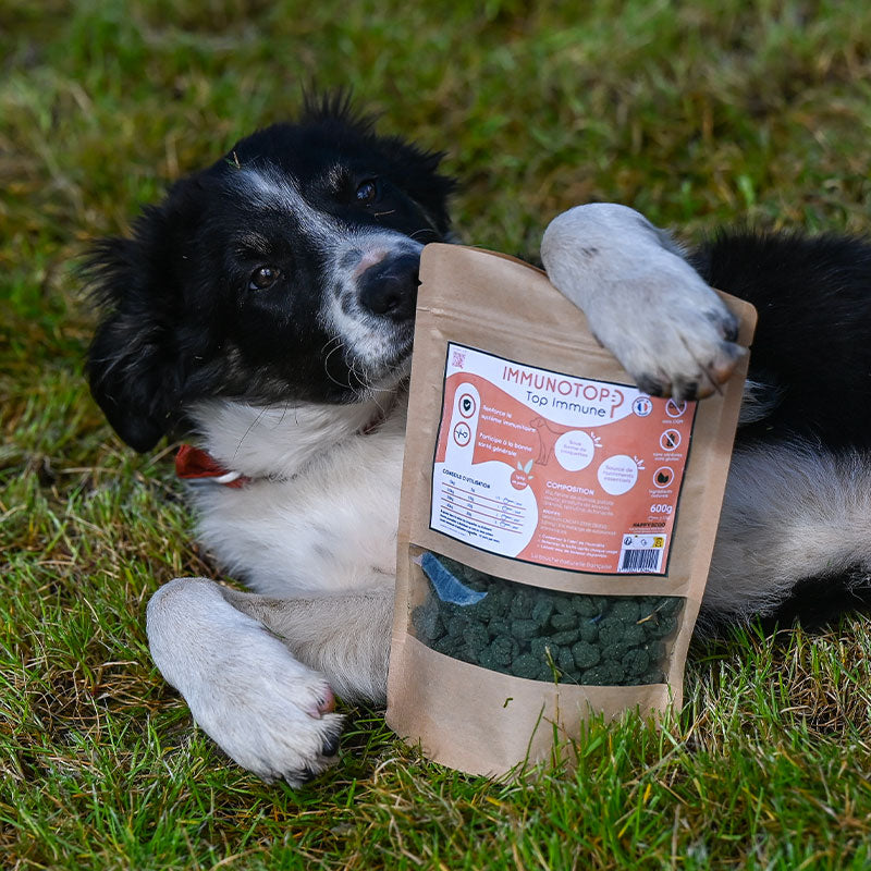 Happy Scoop - Complément alimentaire croquettes bonne santé Immunotop pour chiens | - Ohlala