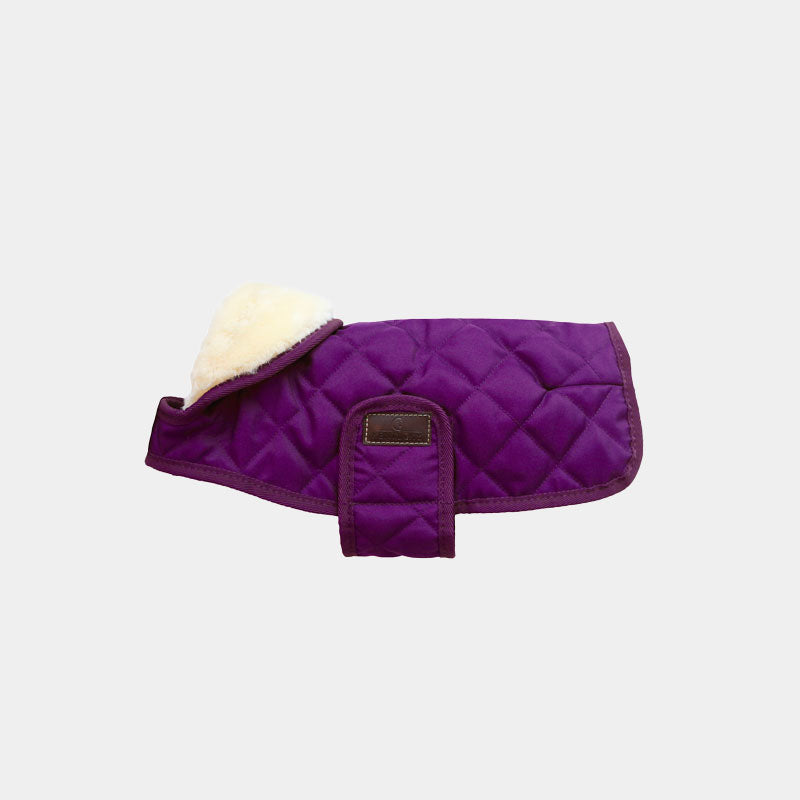Kentucky Dogwear - Manteau pour chiens Original Royal violet | - Ohlala