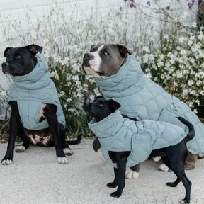 Kentucky Dogwear - Manteau pour chien Pina bleu ciel | - Ohlala