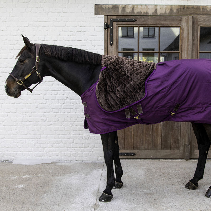 Kentucky Horsewear - Couvre-cou imperméable pro violet 150 g | - Ohlala