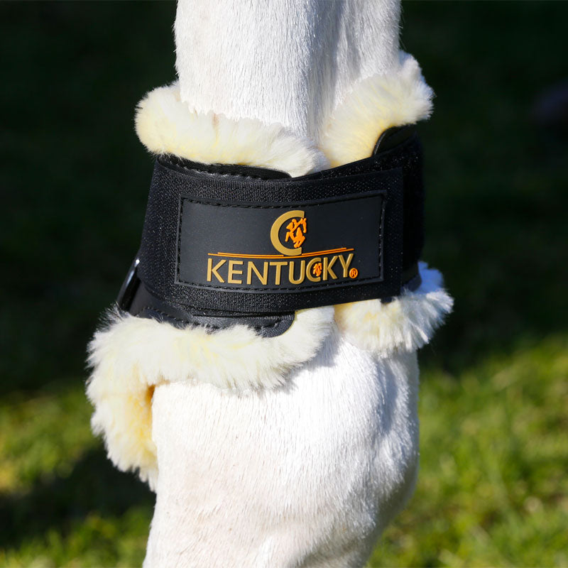 Kentucky Horsewear - Protège boulet Young horses Mouton noir | - Ohlala