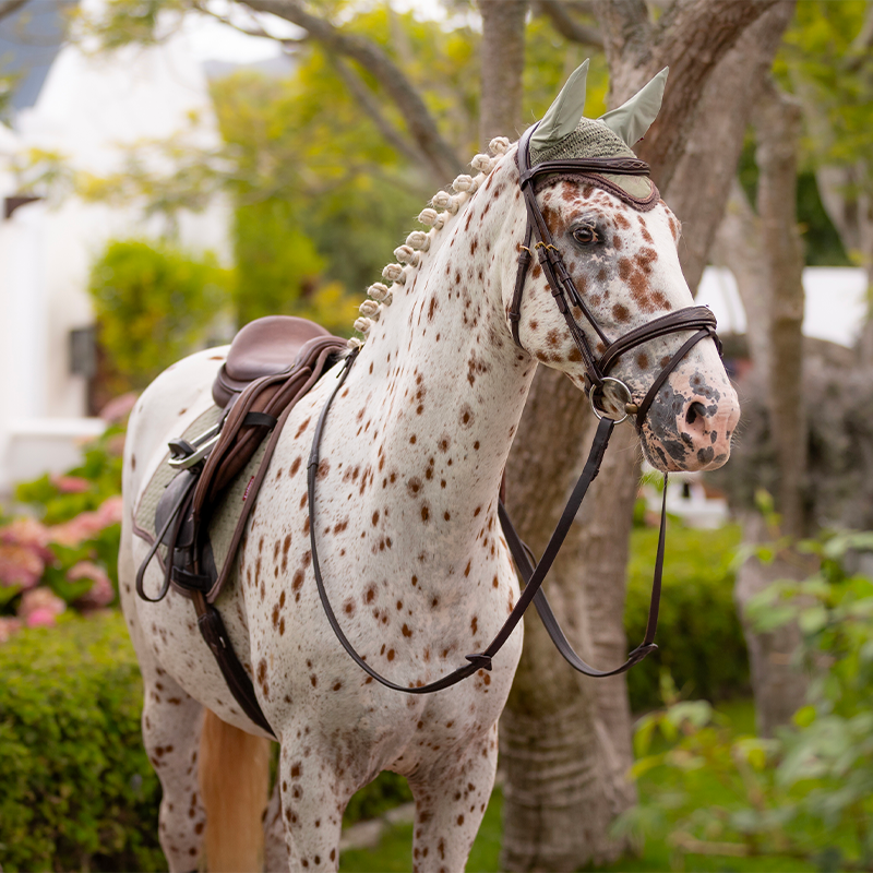 Lemieux - Bonnet pour chevaux anti-mouches Classic fern | - Ohlala