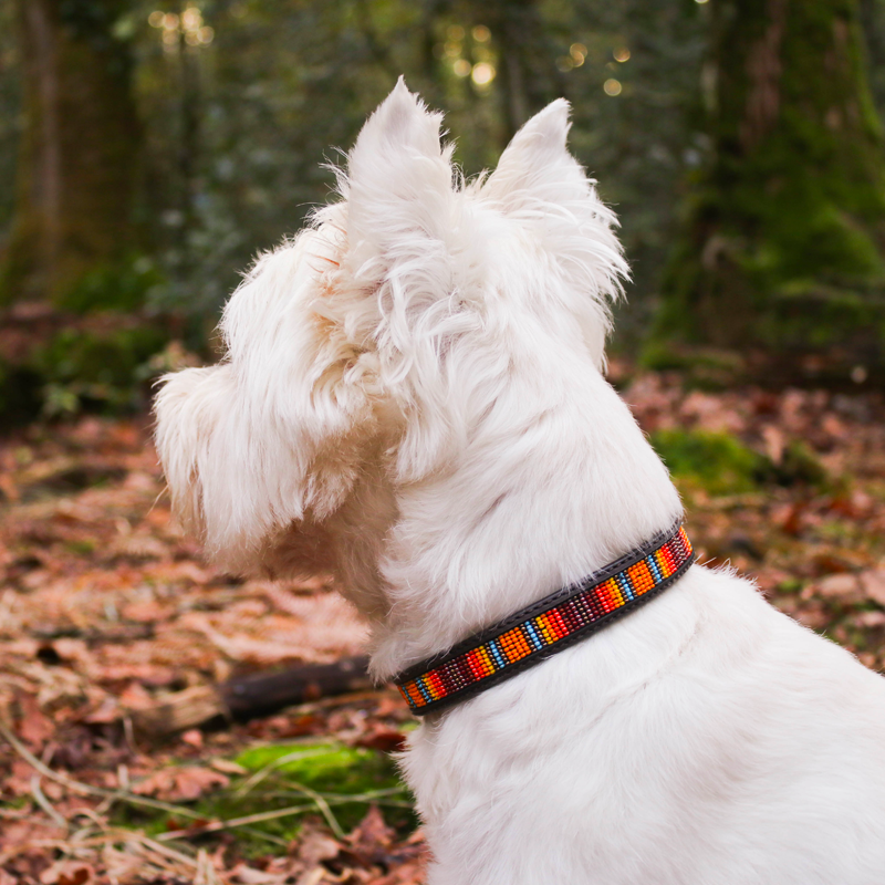 Kentucky Dogwear - Collier pour chiens perles faites main orange | - Ohlala