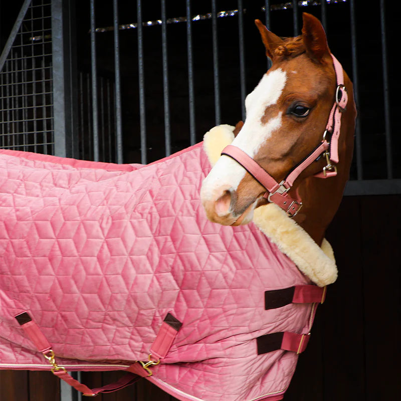 Kentucky Horsewear - Couverture de présentation velvet vieux rose pour minis 160g | - Ohlala