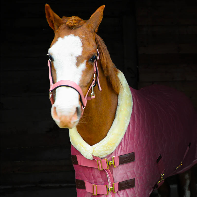 Kentucky Horsewear - Couverture de présentation velvet vieux rose pour minis 160g | - Ohlala