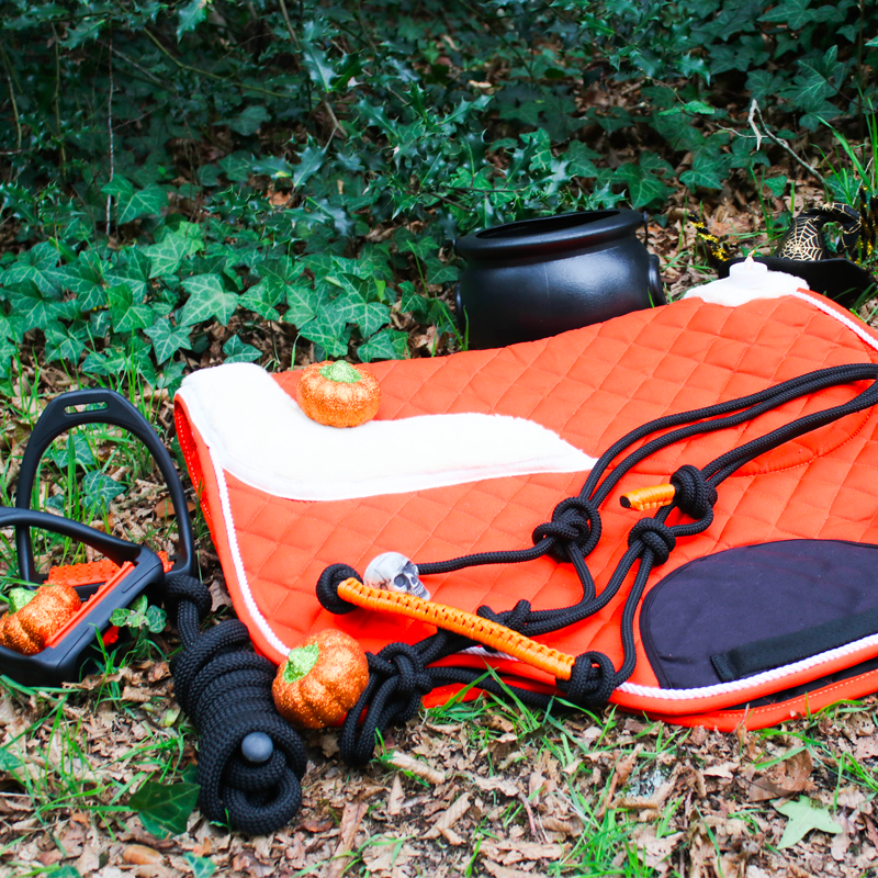 Ekkia - Licol éthologique et longe Fun colour noir/orange | - Ohlala