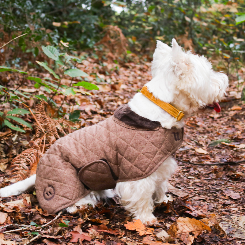 Back On Track - Manteau pour chien marron collection Haze | - Ohlala