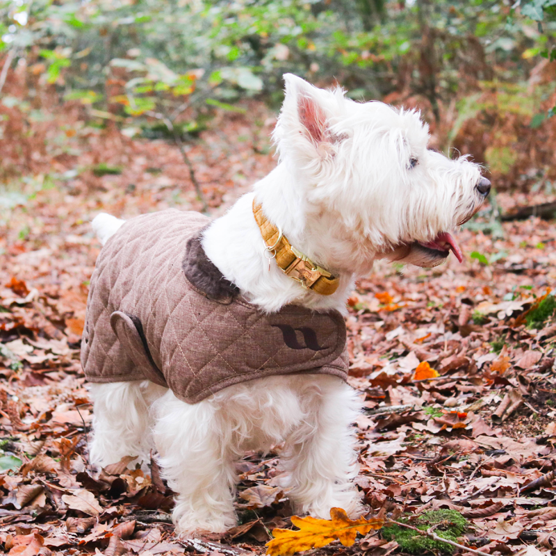 Back On Track - Manteau pour chien marron collection Haze | - Ohlala